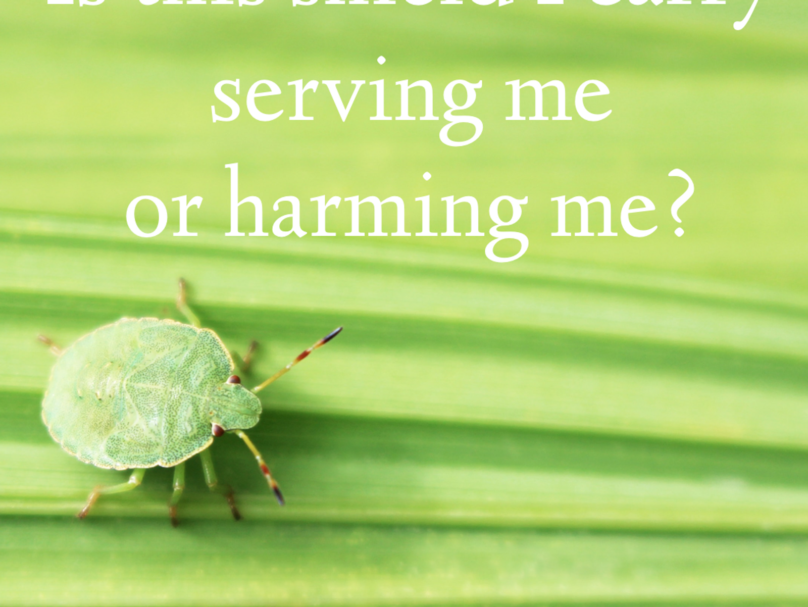 Are you walled up?