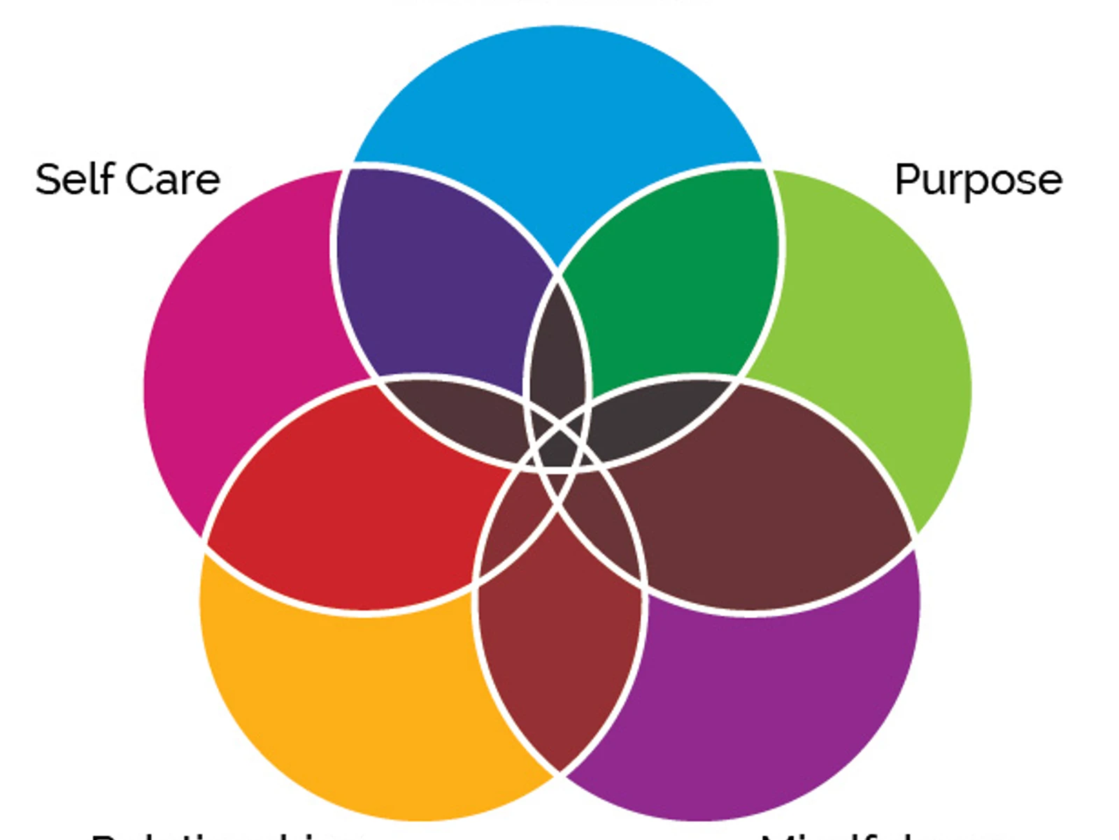 The 5 Pillars of Resiliency