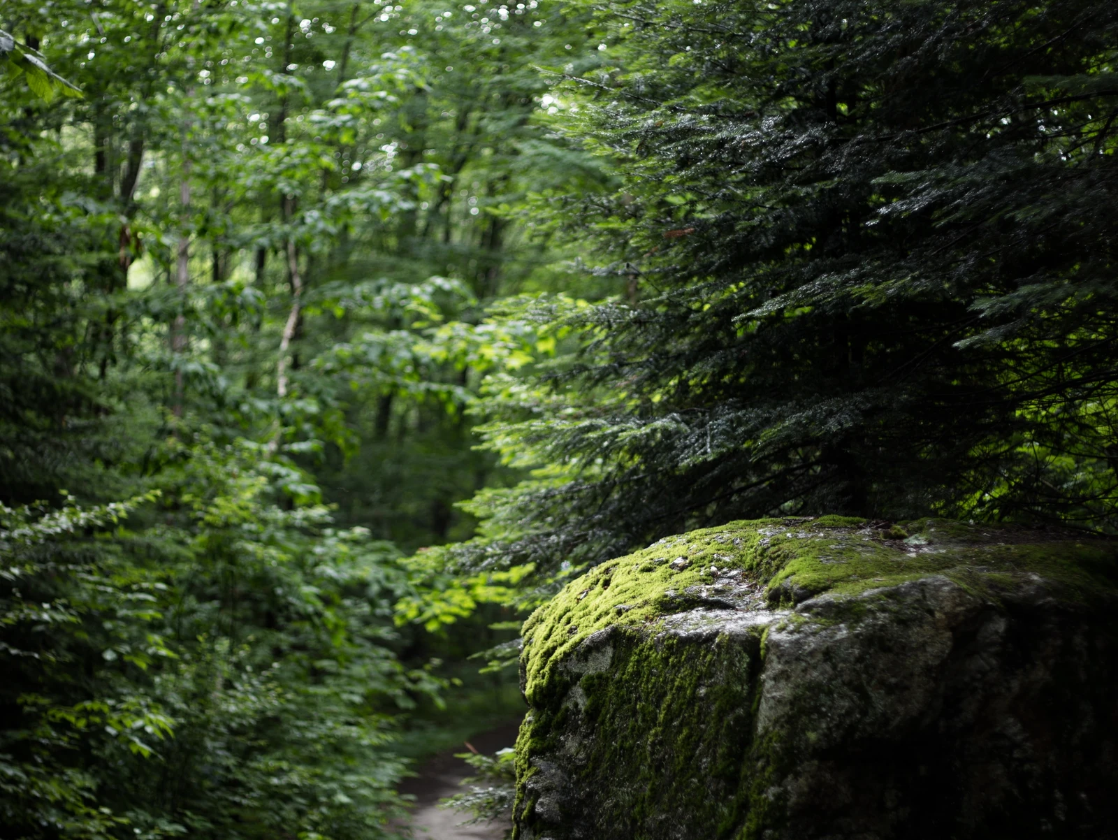 3 Weird Resiliency Tips That Work