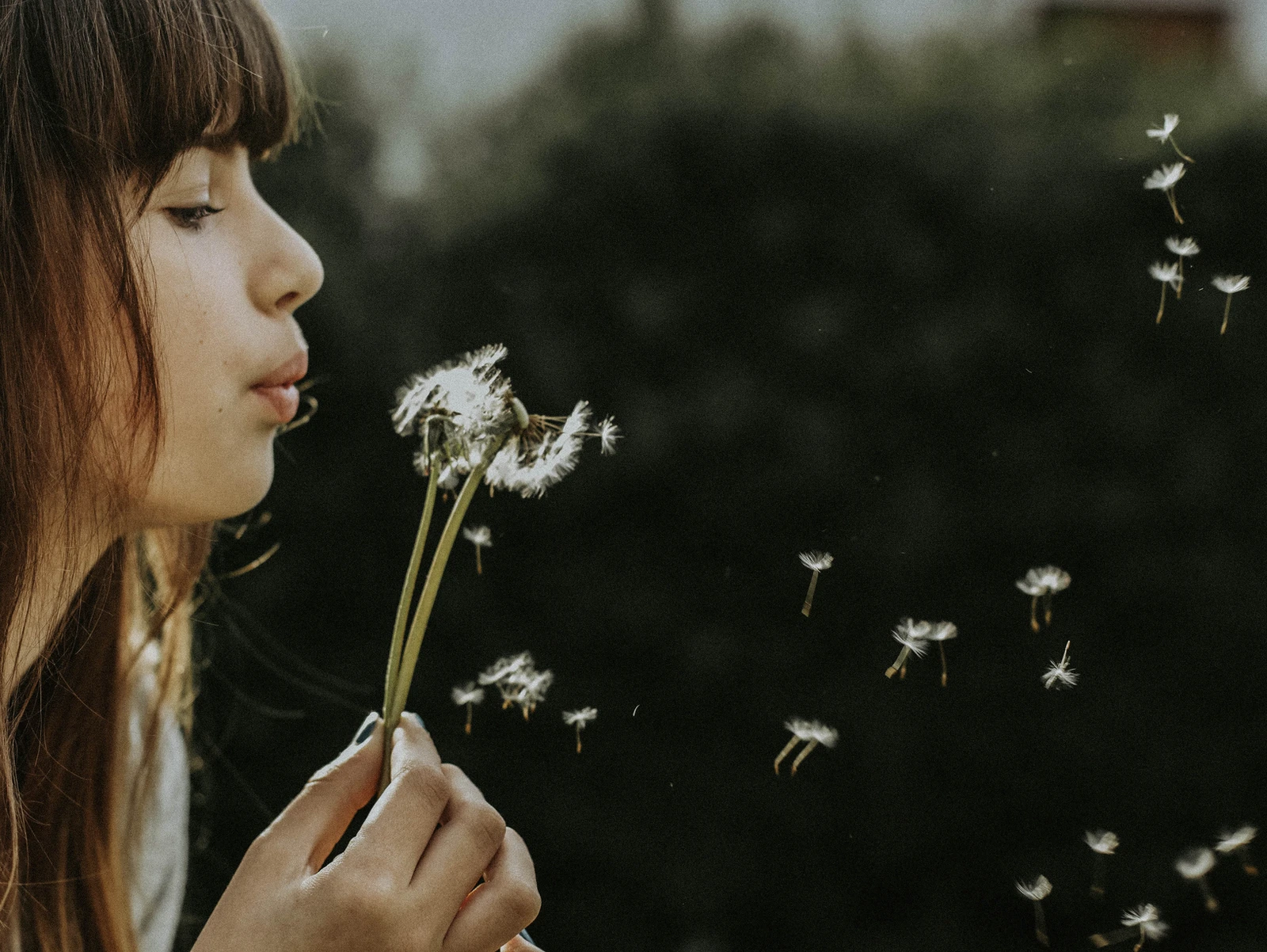 Mindful Moment: Take a Breath